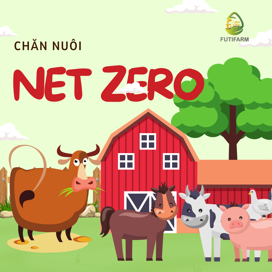 chăn nuôi net zero